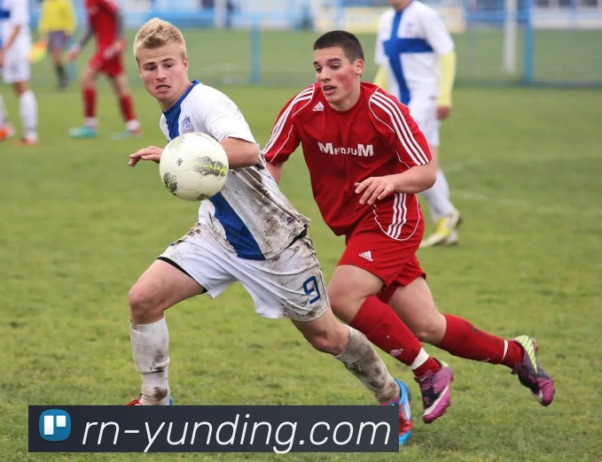 云顶官网平台生态图