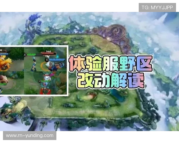 如何解决460问题对王者荣耀游戏体验的影响提升游戏流畅度